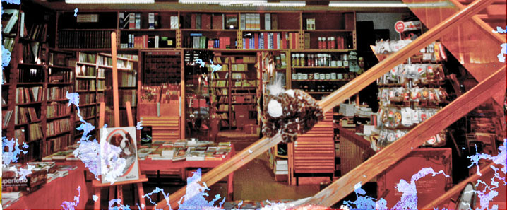 Libreria-Pancallook--300x203.jpg
